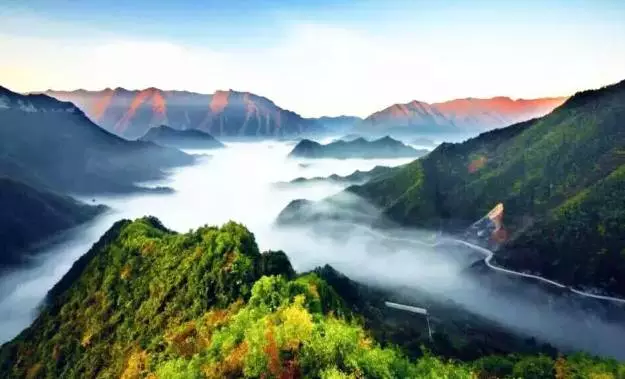 探秘重庆大巴山：生态旅游新体验与自然保护之道
