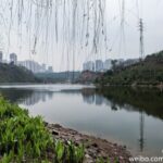探秘重庆彩云湖国家湿地公园：城市中的生态绿肺与自然乐园