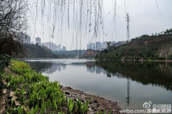 探秘重庆彩云湖国家湿地公园：城市中的生态绿肺与自然乐园