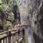 探秘重庆武陵山国家森林公园：自然奇观与生态保护的完美结合
