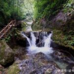 探秘重庆黑山谷：生态旅游胜地中的自然奇观与环保实践