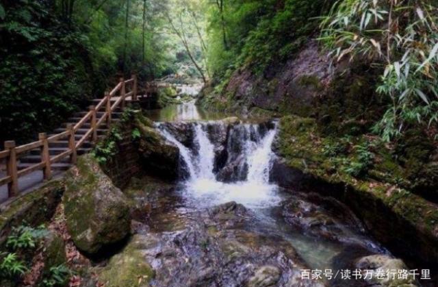 探秘重庆黑山谷：生态旅游胜地中的自然奇观与环保实践