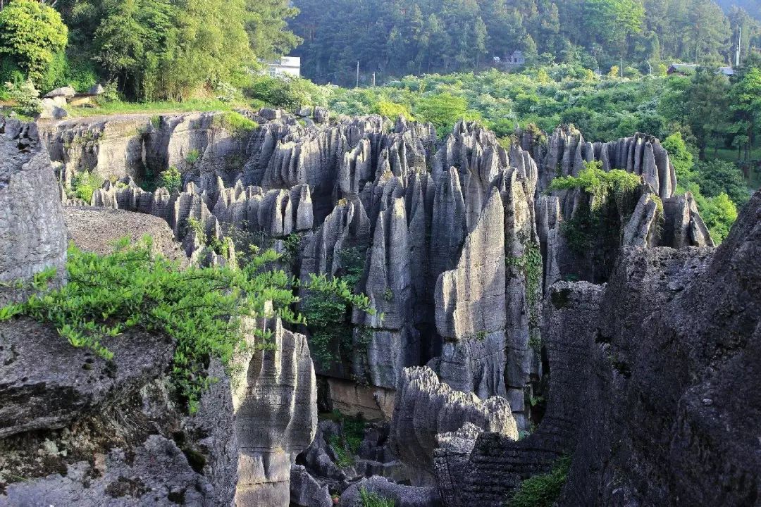探秘重庆地理脊梁：大娄山脉全景攻略与深度解析