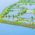 探秘重庆汉丰湖国家湿地公园：生态保护与休闲旅游的完美融合