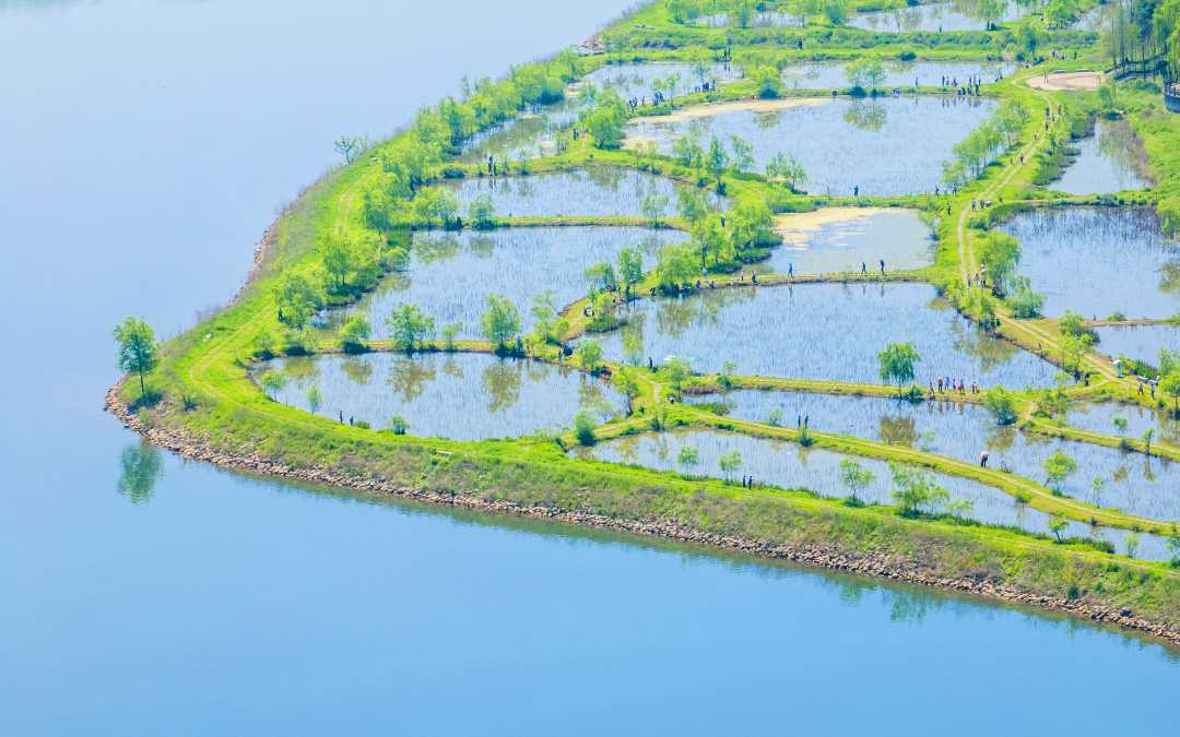 探秘重庆汉丰湖国家湿地公园：生态保护与休闲旅游的完美融合