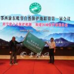 探秘重庆阴条岭：在都市后花园遇见最野性的生态奇迹