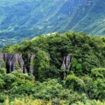探秘金佛山：重庆生态旅游胜地中的自然奇观与保护实践