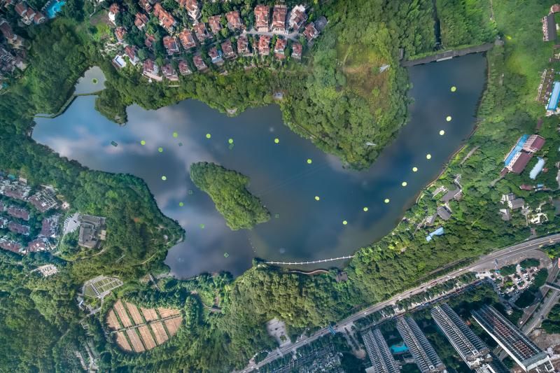 探秘重庆彩云湖国家湿地公园：城市绿肺的生态保护与休闲体验