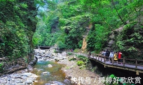 山城寻味记：揭秘重庆长寿血豆腐的百年传奇与独特魅力