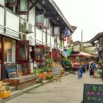 山城密码：解码重庆码头文化的前世今生与城市灵魂