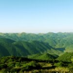 探秘重庆阴条岭：在原始森林中感受生态保护的非凡意义