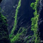穿越地质奇观：重庆武隆喀斯特与天生三桥深度探秘之旅