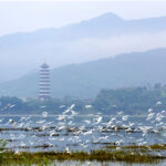探秘重庆汉丰湖国家湿地公园：生态保护与自然之美的完美结合
